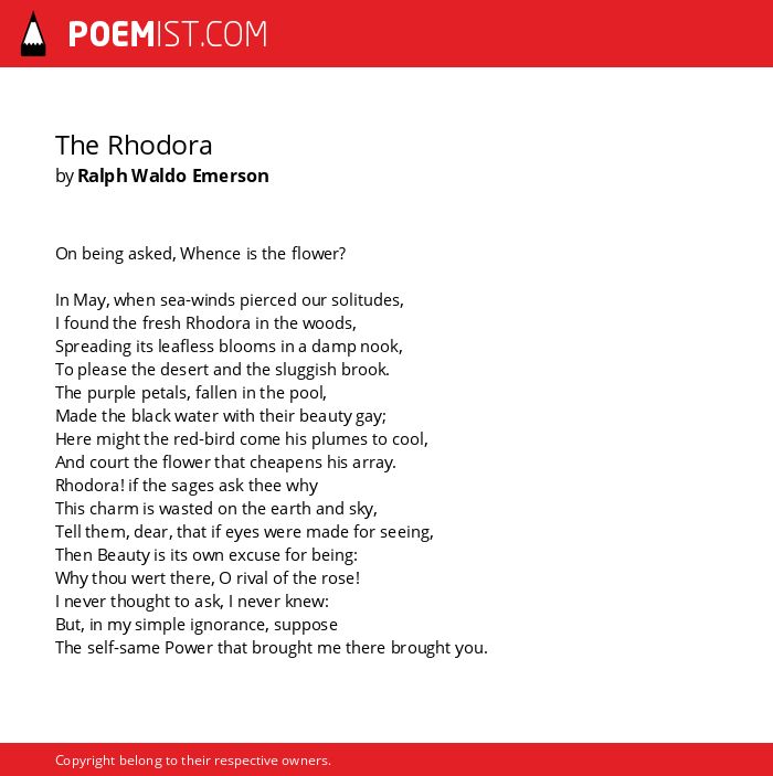 the rhodora