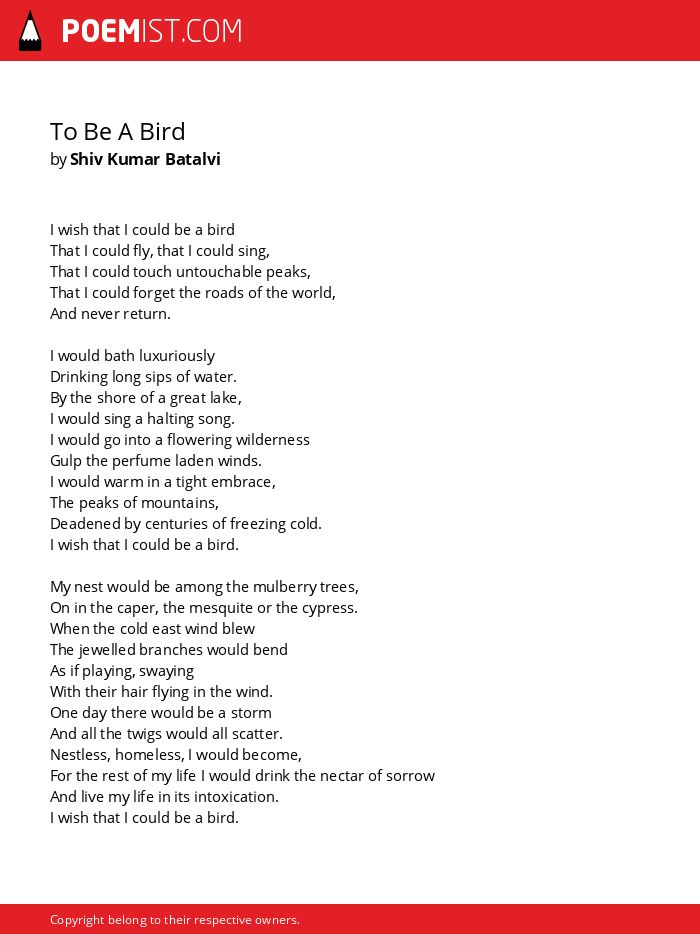 To Be A Bird By Shiv Kumar Batalvi Poemist