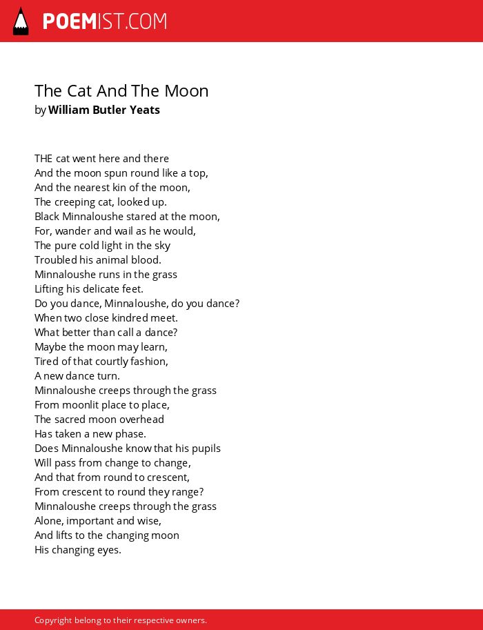 the cat and the moon yeats